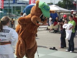 Bilder aus 2011